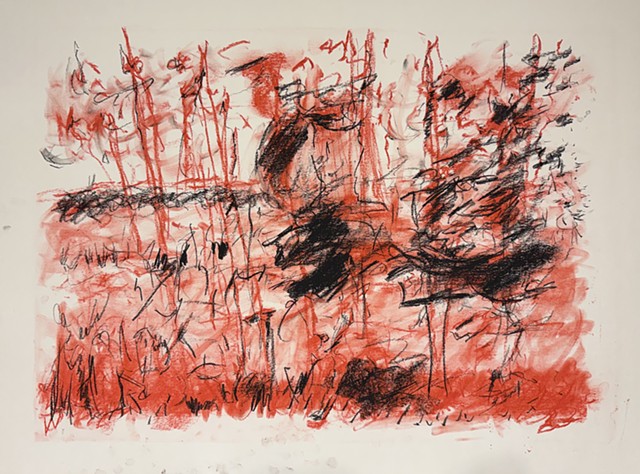 260109 January 9, 2026 conte 18x24"