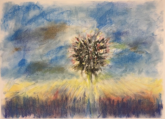 251107 November 7, 2025 conte crayon on 18x24 Bee paper