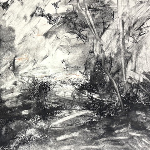 260522 May 22, 2026 conte on 18x24" Bee paper