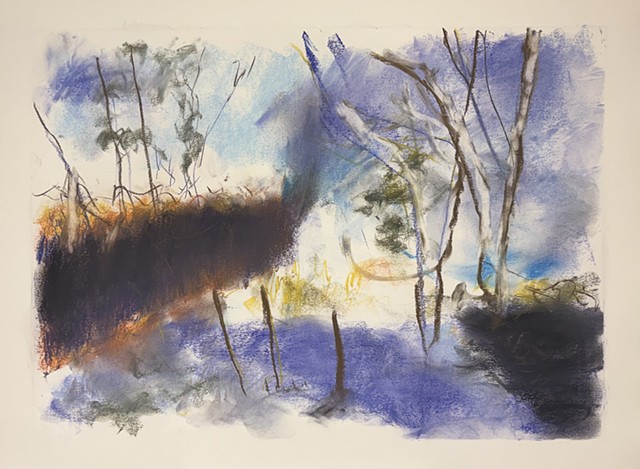 260417 April 17, 2026 conte on 18x24" Bee