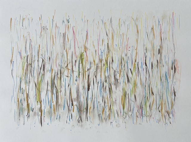 260626 June 26, 2026 conte on 18x24" paper