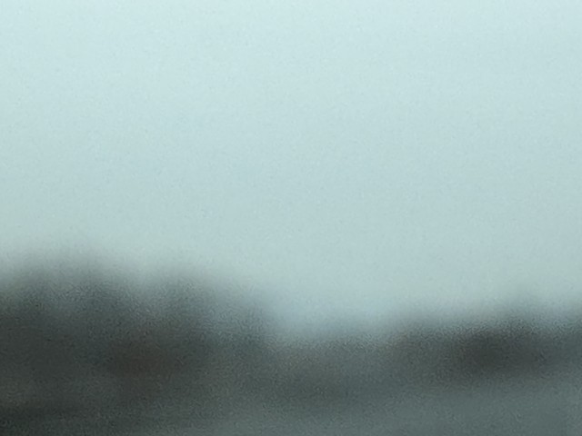 260228 February 18, 2026 -photo