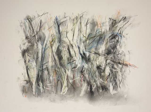 260315 March 15, 2026 conte 18x24"