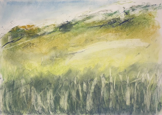 251116 November 16, 2025 conte 18x24