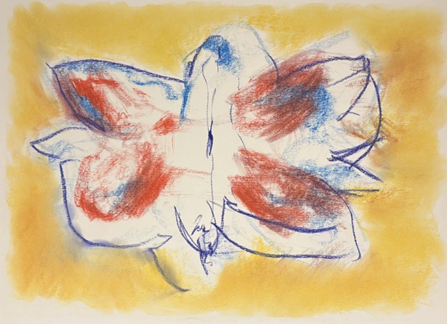 260222 February 22, 2026  conte on 18x24 Bee