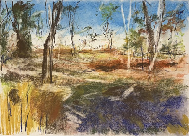 251123 November 23, 2025 conte 18x24