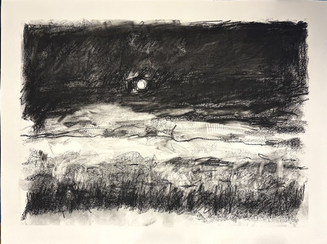 260421 April 21, 2026 conte on 18x24 Bee