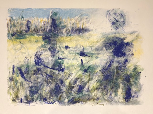 260224 February 24, 2026 conte on 18x24 Bee