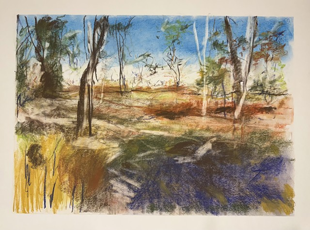 251123 November 23, 2025 conte 18x24