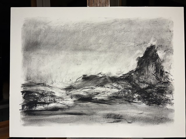 260313 March 13, 2026 conte on 18x24" Bee paper