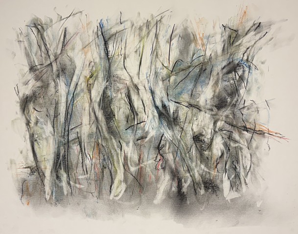 260315 March 15, 2026 conte 18x24"