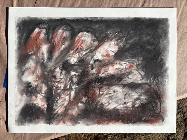 250716 July 16, 2025 conte 18x24