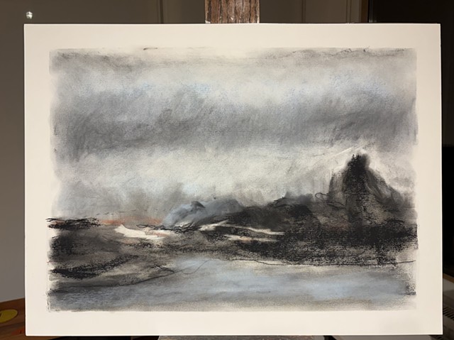 260317 March 17, 2026 conte on 18x24" Bee paper