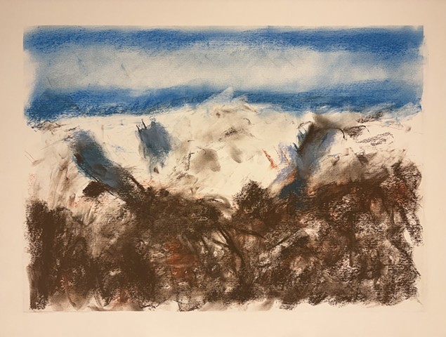 260228 February 18, 2026 conte on 18x24 Bee paper
