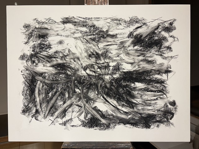 251114 November 14, 2025 conte 18x24" Bee