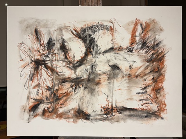 260324 March 24, 2026 conte 18x24