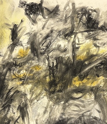 251202 December 2, 2025 conte 18x24