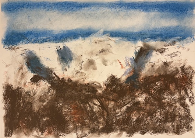 260228 February 18, 2026 conte on 18x24 Bee paper