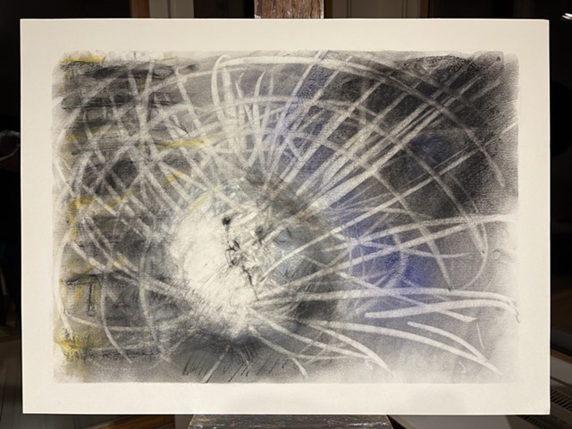 251127 November 27, 2025 conte on 18x24" Bee paper