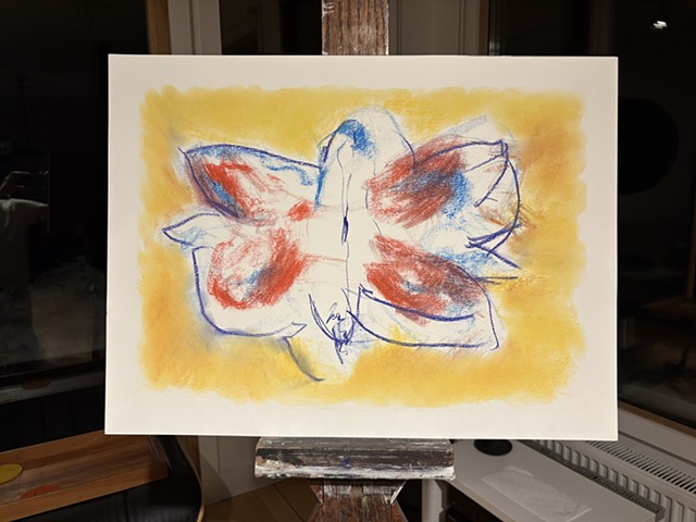 260222 February 22, 2026  conte on 18x24 Bee