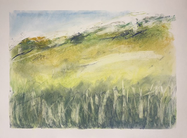 251116 November 16, 2025 conte 18x24