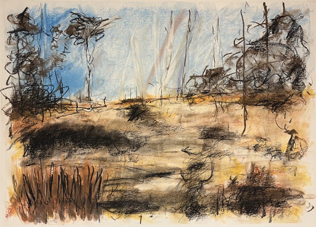 260111 January 11, 2026 conte 18x24"