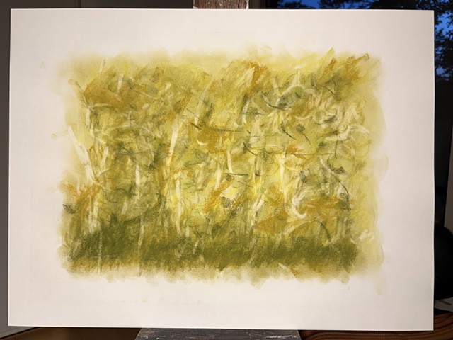 260710 July 10, 2026 conte on 18x24 Ber paper