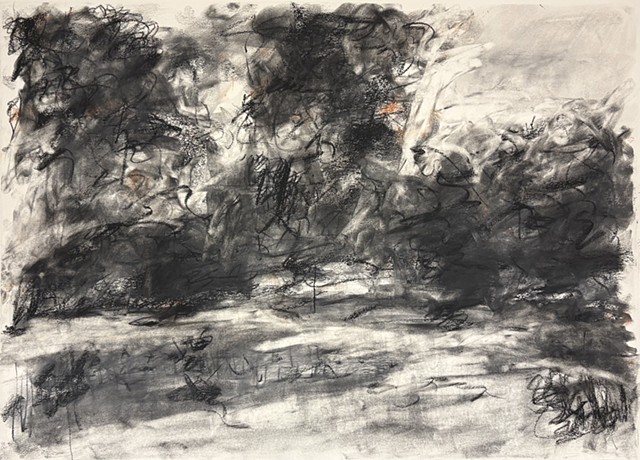 260610 June 10, 2026 conte on 18x24 paper