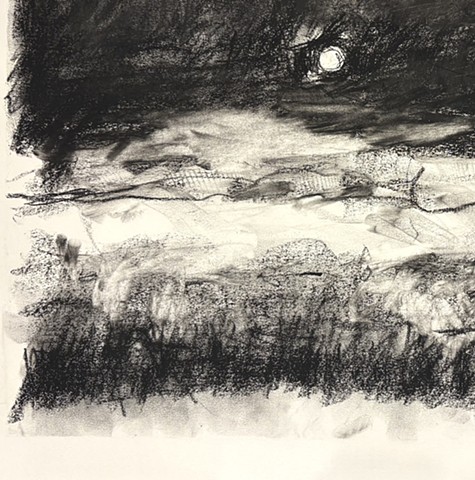 260421 April 21, 2026 conte on 18x24 Bee - detail