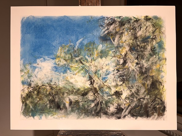 260526 May 26, 2026 conte on 18x24" Bee paper