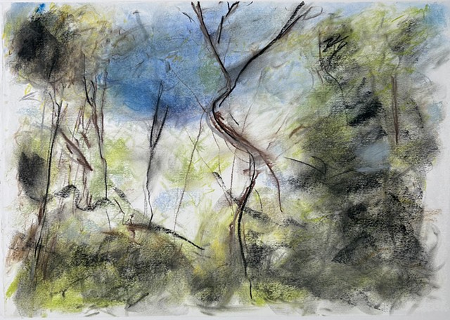 250502 May 2, 2025 conte 18x24”