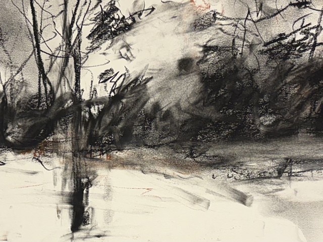 260407 April 7, 2026 conte on Bee -detail