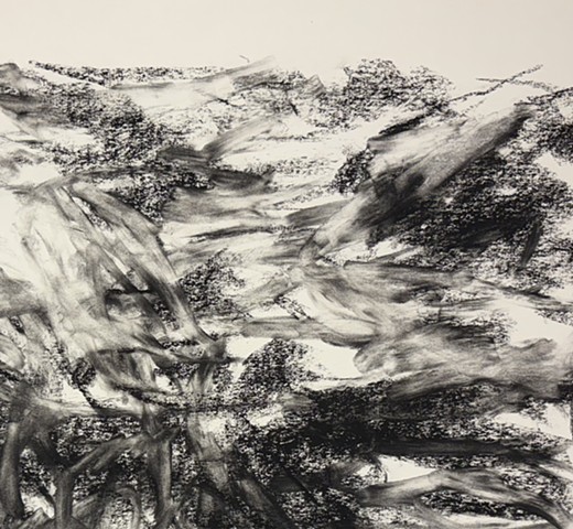 251114 November 14, 2025 conte 18x24" Bee