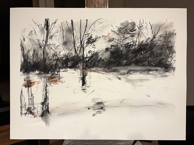 260407 April 7, 2026 conte on 18x24 Bee