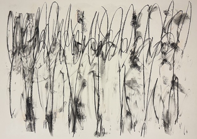 251109 November 9, 2025 conte 18x24 A