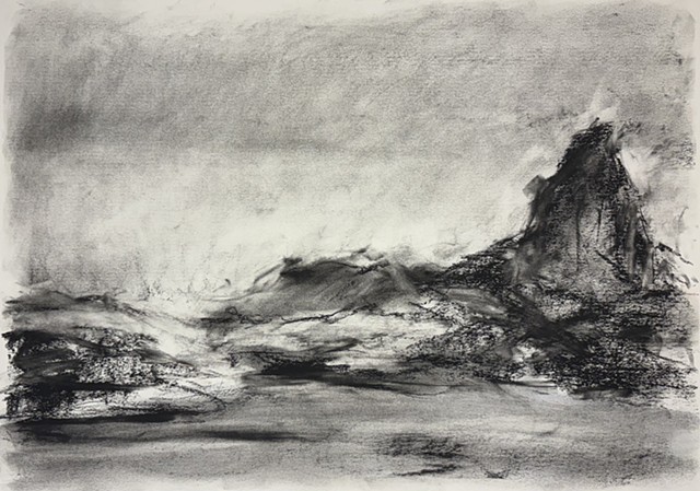 260313 March 13, 2026 conte on 18x24" Bee paper