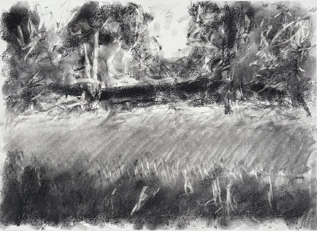260724 July 24, 2026 conte on paper 18x24"
