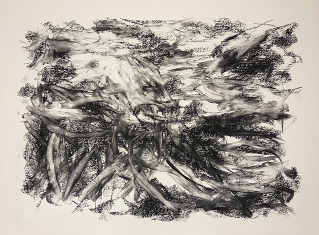 251114 November 14, 2025 conte 18x24" Bee