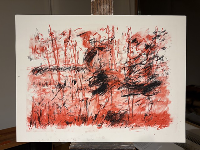 260109 January 9, 2026 conte 18x24"