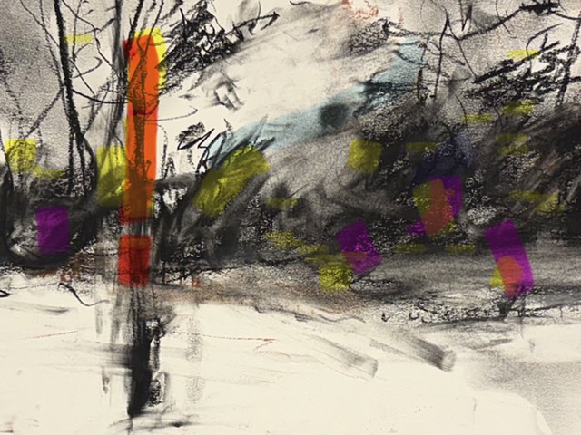 260407 April 7, 2026 conte on Bee -detail and a little color