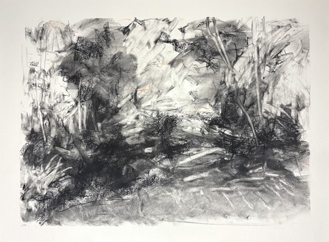 260522 May 22, 2026 conte on 18x24" Bee paper