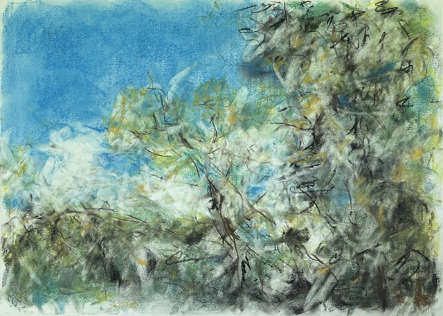 260526 May 26, 2026 conte on 18x24" Bee paper