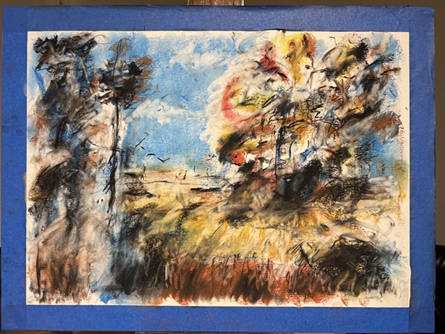 251102 November 2, 2025 conte on 18x24 Bee paper