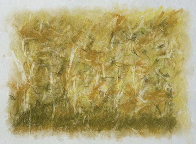 260710 July 10, 2026 conte on 18x24 Bee paper