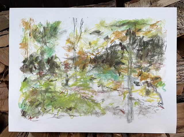 260618 June 18, 2026 conte on 18x24 paper
