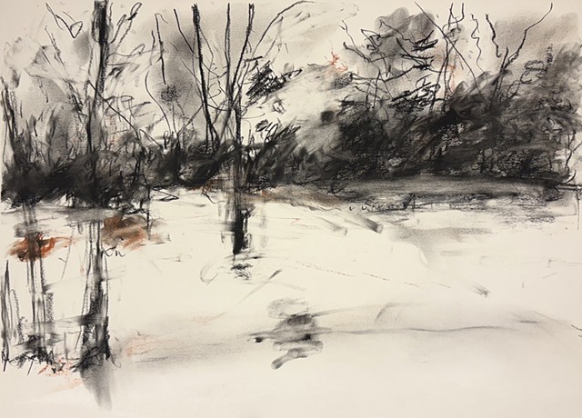 260407 April 7, 2026 conte on 18x24 Bee