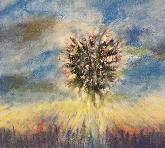 251107 November 7, 2025 conte crayon on 18x24 Bee paper