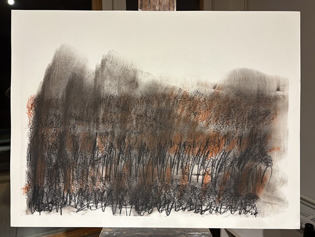 250805 August 4, 3025 conte 18x24 B