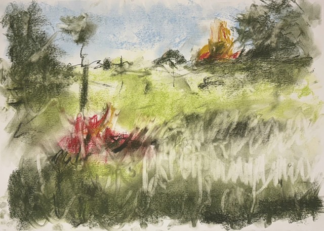 251118 November 18, 2025 conte 18x24