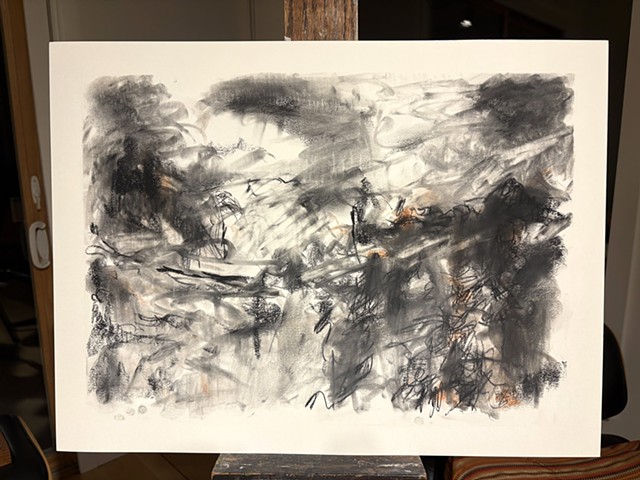 260412 April 12, 2026 conte on 18x24 Bee paper